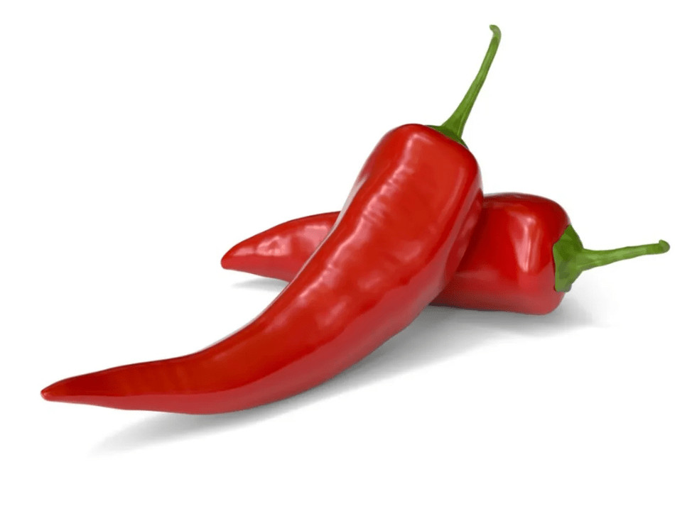 Capsaicin an Artovitel